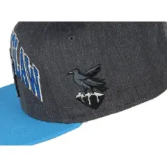Harry Potter Ravenclaw Embroidered House Crest Adjustable Snapback Hat Cap Grey