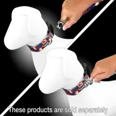 Country Brook Petz Spirit of '76 Dog Leash (6 Foot, 1 Inch Wide)