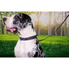 Country Brook Petz Martingale Dog Collar - Chevron and Arrows Collection