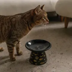 Dexypaws: Flat Top Ceramic Cat Bowl, Black Fish Print, 7.5oz, Pet Feeding Dish