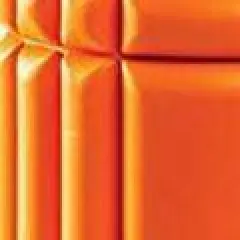 Trigger Point Performance The Grid 2.0 Revolutionary Foam Massage Roller