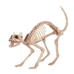 Seasons USA Cat Skeleton Halloween Decoration - 10.5 in x 18 in x 5.5 in - Beige