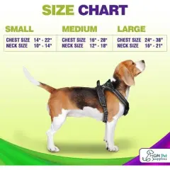 Gm Harness Leash Poo Bag Holder Set