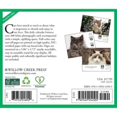 Willow Creek Press 5.5"x6.5" 2026 What Cats Teach Us Box Calendar