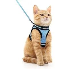 rabbitgoo Cat Harness and Leash Set