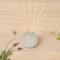 6.7 fl oz Tranquility Oil Diffuser - Casaluna&trade;