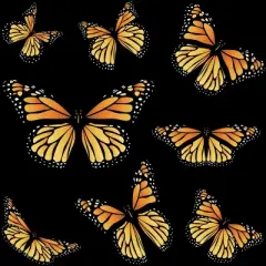 Girl's Design By Humans Monarch butterfly By AnnArtshock T-Shirt