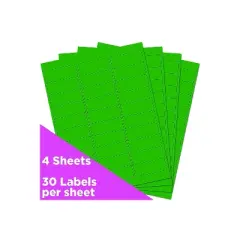 JAM Paper Laser/Inkjet Mailing Address Labels 1" x 2 5/8" Neon Green 354328004