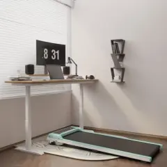 SEVOBAL Home Gyms Incline Walking 6 Degree Pad Treadmill, Portable Compact Under Desk, Suitable for Home, Upright Stand, Green, 49.2"*20.5"*4.92"