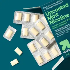 Nicotine 4mg Gum Stop Smoking Aid - Mint Flavor - 170ct - up&up&trade;