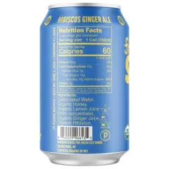 Fresh Fizz  Hibiscus Ginger Ale Organic Soda, Made with Ginger Juice, Hibiscus, Honey, & Lemon, No Preservatives or Artificial Flavors - 12 Pack