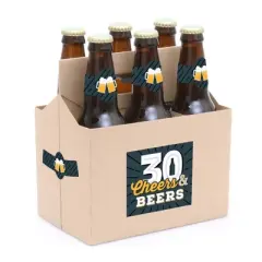 Big Dot of Happiness Cheers and Beers to 30 Years - 30th Birthday Party Decorations for Women and Men - 6 Beer Bottle Label Stickers and 1 Carrier