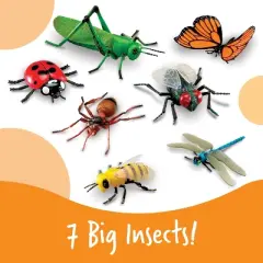 Learning Resources Jumbo Insects, Fly, Ant, Bee, Ladybug, Grasshopper, Butterfly, and Dragonfly, 7 Insects