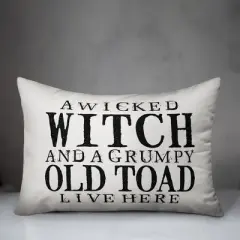 Creative Products A Wicked Witch and Grumpy Toad 14x20 Indoor / Outdoor Pillow