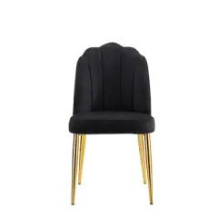 Set of 2 Cherisa Dining Chair - Chic Home Design