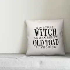 Creative Products A Wicked Witch and Grumpy Toad 18x18 Indoor / Outdoor Pillow