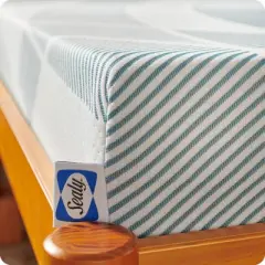 Sealy Dreamlife 6" Foam Mattress