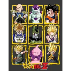 Dragon Ball Z Boxed Characters Boy's Charcoal Heather T-shirt