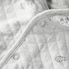 Little Planet By Carter's Organic Baby 2pc Quilted Hooded Set - Gray