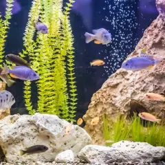 Unique Bargains Ceramic Aquarium Hideaway Rock Cave Fish Tank Decoration Brown 5.16"x3.05"x2.19"