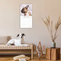 2026 Square Wall Calendar, French Bulldogs, 16-Month Paw Prints Theme with 180 Reminder Stickers (12x12 In)