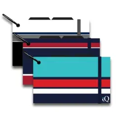 iScholar Index Cards on a Ring, 3" x 5", 100 Per Pack, 6 Packs