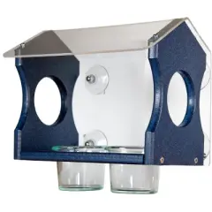 JCs Wildlife Window Mount Bluebird Mealworm Feeder