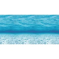 Fadeless Designs Paper Roll, Under the Sea, 48 Inches x 50 Feet