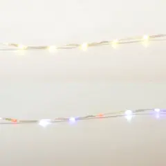 Living Accents LED Ribbon Light Light Set Multicolored 16.6 ft. 100 lights (Case of 12)
