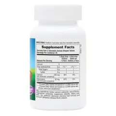 Source of Life Animal Parade Sugar-Free Calcium Vanilla Sundae by Nature's Plus  -  90 Chewable