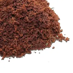 Plantonix Coco Bliss Premium Organic Coconut Coir Pith 650 Gram Bricks for Home Gardening, Potted Plants, Landscaping, and More, Brown