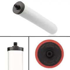 Doulton W9123053 9501 UltraCarb NSF Certified BSP Thread Ceramic Filter Candle Element Cartridge, 10 inch, 2 Pack