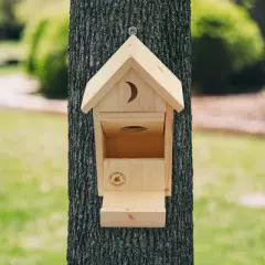 Uncle Dunkels Outhouse Squirrel Feeder; Rustic Handmade Wooden Squirrel Food Dispenser Box