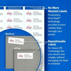 Avery Repositionable Address Labels Inkjet/Laser 1 x 2 5/8 White 750/Box 58160