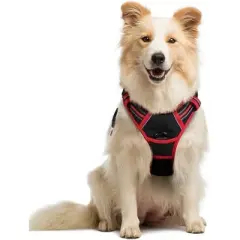 rabbitgoo Dog Harness No Pull with 2 Leash Clips, Control Handle for Medium Sized Dogs, Black & Red, M