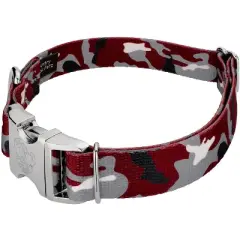 Country Brook Petz Premium Dog Collar - Sports and Athletics Collection
