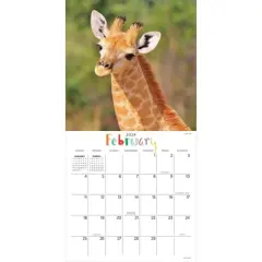TF Publishing 2024 Wall Calendar 12"x12" Baby Animals
