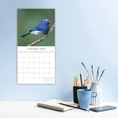 2026 Square Wall Calendar, Exotic Birds, 16-Month Animals Theme with 180 Reminder Stickers (12x12 In)