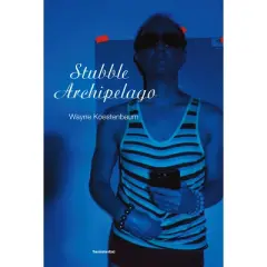Stubble Archipelago - (Semiotext(e) / Native Agents) by  Wayne Koestenbaum (Paperback)