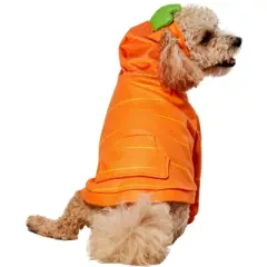Rubies Carrot Cutie Pet Costume