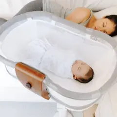 HALO Innovations Bassinest Insert Sleeper Accessories 2.0 - Newborn