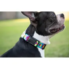 Country Brook Petz Deluxe Rainbow Hearts Dog Collar - Made In The U.S.A.
