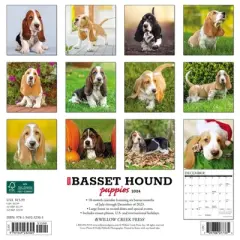 Willow Creek Press 2024 Wall Calendar 12"x12" Just Basset Hound Puppies