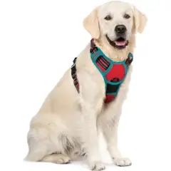 rabbitgoo Dog Harness No Pull with 2 Leash Clips, Control Handle for Large Dogs, Red & Teal, XL