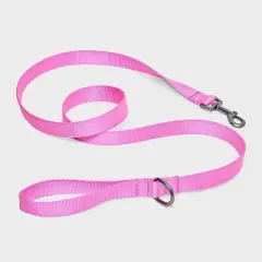 Basic Nylon Leash - 5' - Boots & Barkley&trade;