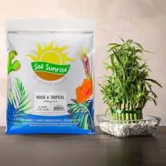 Soil Sunrise Tropical House Plant Potting Mix for All Types of Indoor House Plants