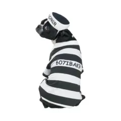Casual Canine Prison Pooch Costume