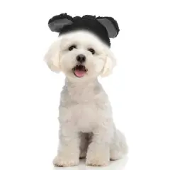 Unique Bargains Halloween Eye-catching Pet Headwear 1 Pc