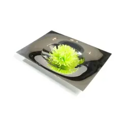 XXD Polished Stainless Steel Bowl