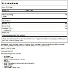 Xlear Spry Spearmint Chewing Gum - Sugar Free